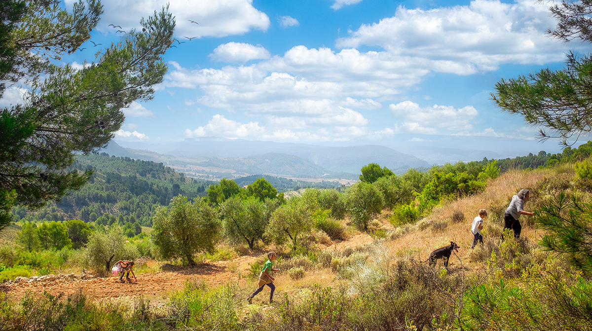 hiking sierra del segura thyme fields